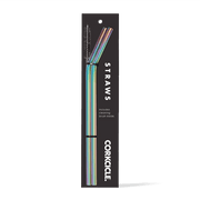 Tumbler Straw 2-Pack - Fresh Choice V9